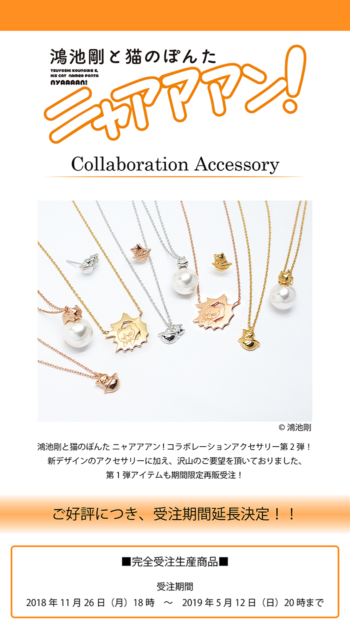 鴻池剛と猫のぽんたニャアアアン！ × MATERIAL CROWN │ MATERIAL CROWN