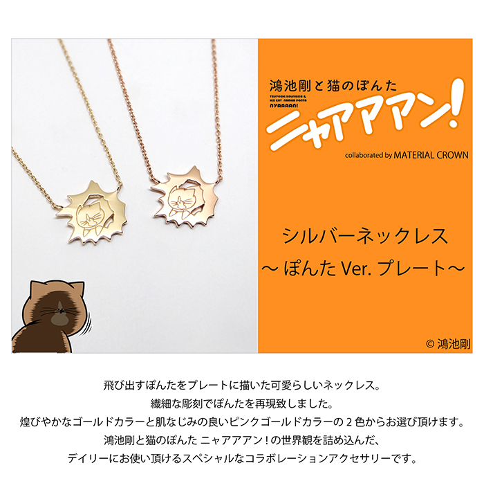 鴻池剛と猫のぽんたニャアアアン！ × MATERIAL CROWN │ MATERIAL CROWN