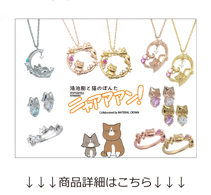 鴻池剛と猫のぽんたニャアアアン！× MATERIAL CROWN │ MATERIAL CROWN