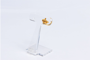 マテリアルクラウン